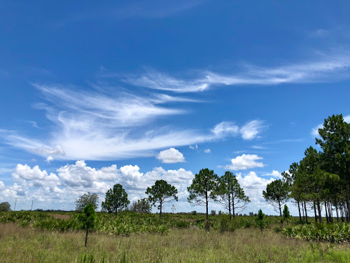 Nature Preserve «Duette Preserve», reviews and photos, 2649 Rawls Rd, Parrish, FL 34219, USA