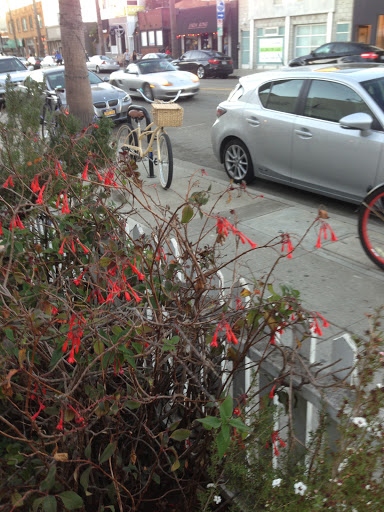 Tobacco Shop «Green House Smoke Shop», reviews and photos, 1428 Abbot Kinney Blvd, Venice, CA 90291, USA