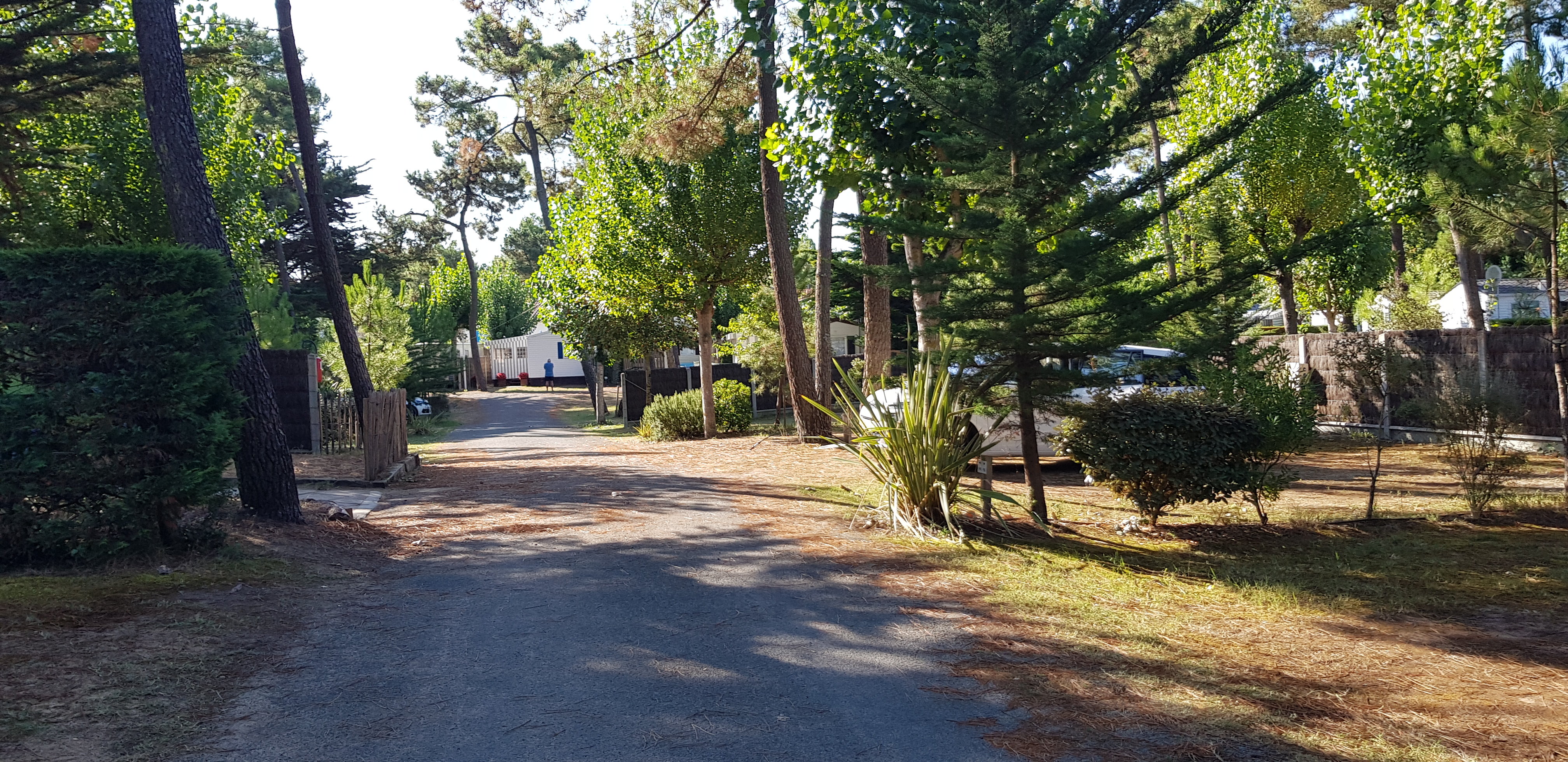 Photo n° 4 de l'avis de DIDIER.O fait le 01/09/2018 à 11:31