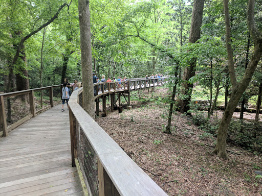 Nature Preserve «Fernbank Forest», reviews and photos, 767 Clifton Rd, Atlanta, GA 30307, USA