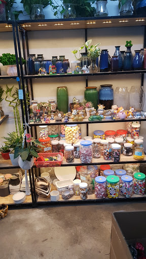 Top 20 cửa hàng cây kiểng Huyện Ba Vì Hà Nội 2022