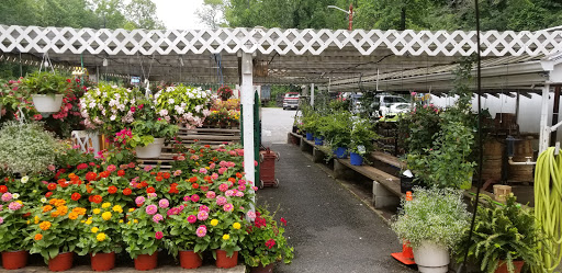 Grocery Store «Red Top Farm Market», reviews and photos, 1801 NJ-70, Southampton Township, NJ 08088, USA