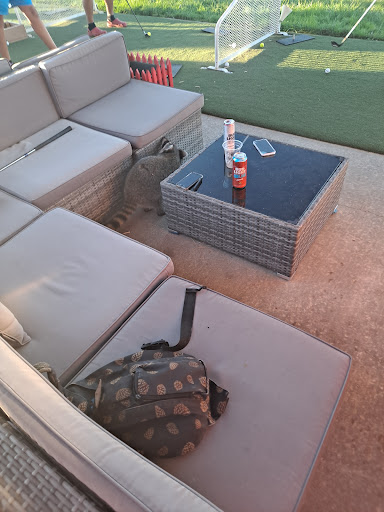 Golf Course «GreatLife North», reviews and photos, 350 US-24, Topeka, KS 66608, USA