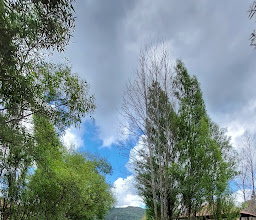 Parque de los Humedales photo
