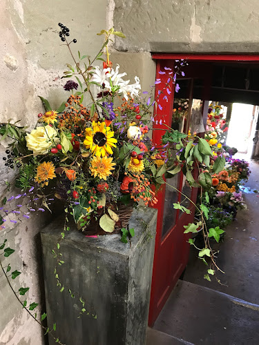 Rezensionen über Blumengärtnerei Fuhrimann in Bern - Blumengeschäft