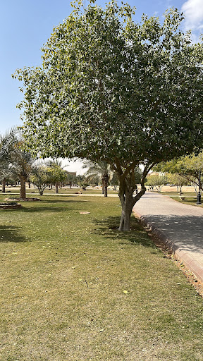 حديقة تلال الرياض في الرياض 13