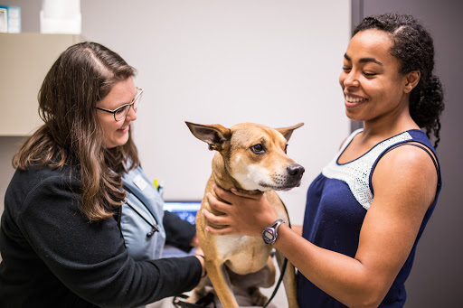 Veterinary Specialty Center of Seattle