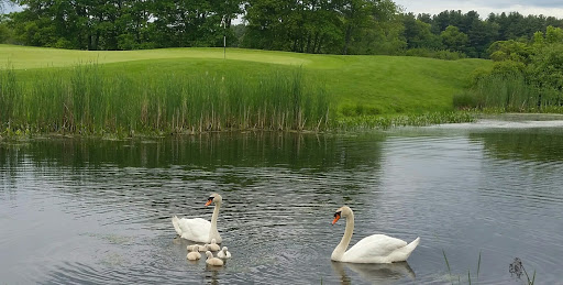 Golf Course «King Rail Reserve Golf Course», reviews and photos, 1 King Rail Dr, Lynnfield, MA 01940, USA