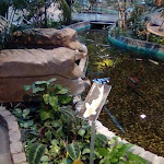 Photo n°16 de l'avis de DailyMumme. fait le 23/04/2019 à 10:00 sur le  Eurostrand Resort Lüneburger Heide à Fintel