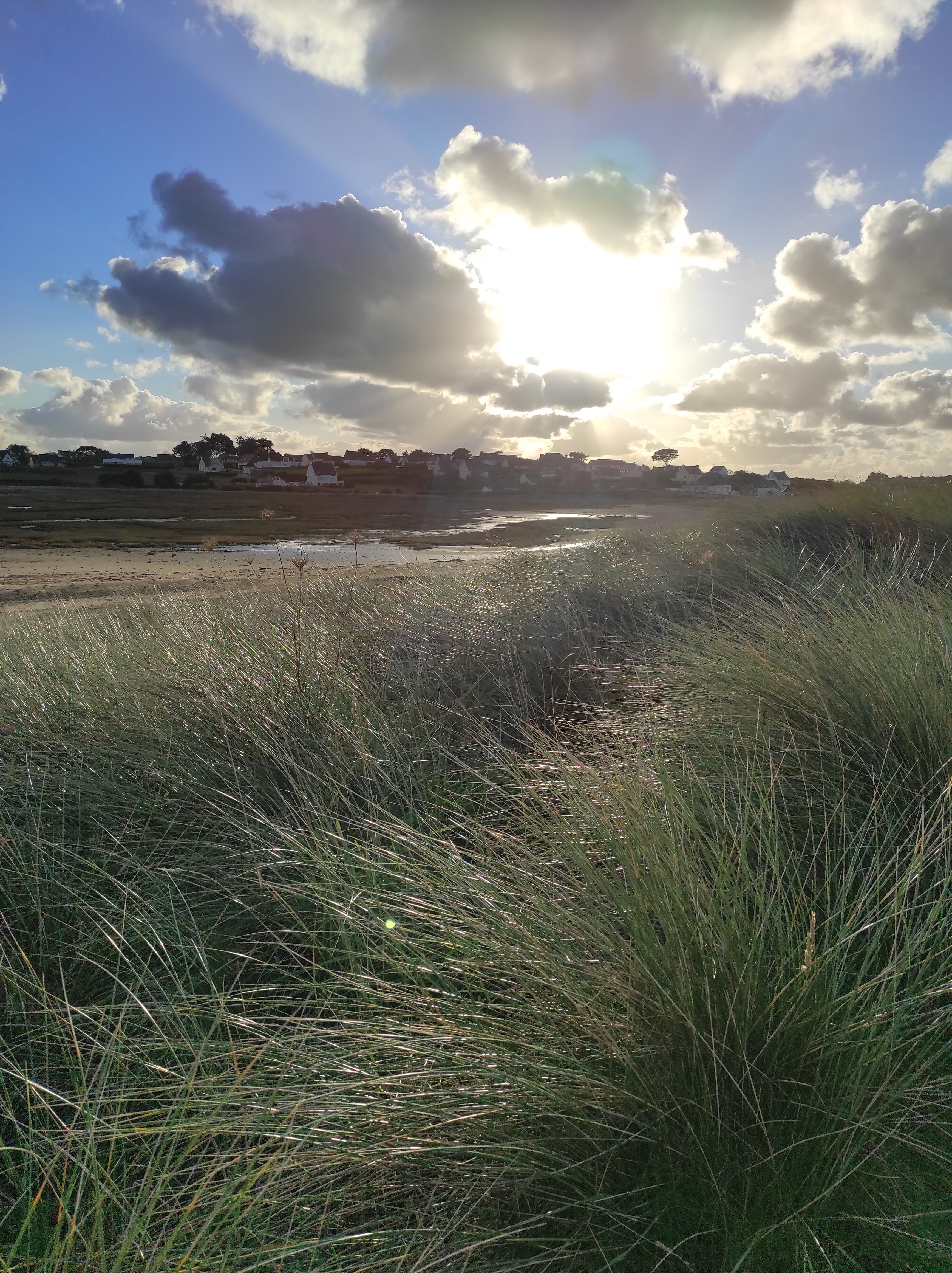 Photo n° 1 de l'avis de C.s fait le 25/11/2021 à 21:03
