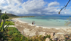 Photo de Blanca beach avec un niveau de propreté de sale