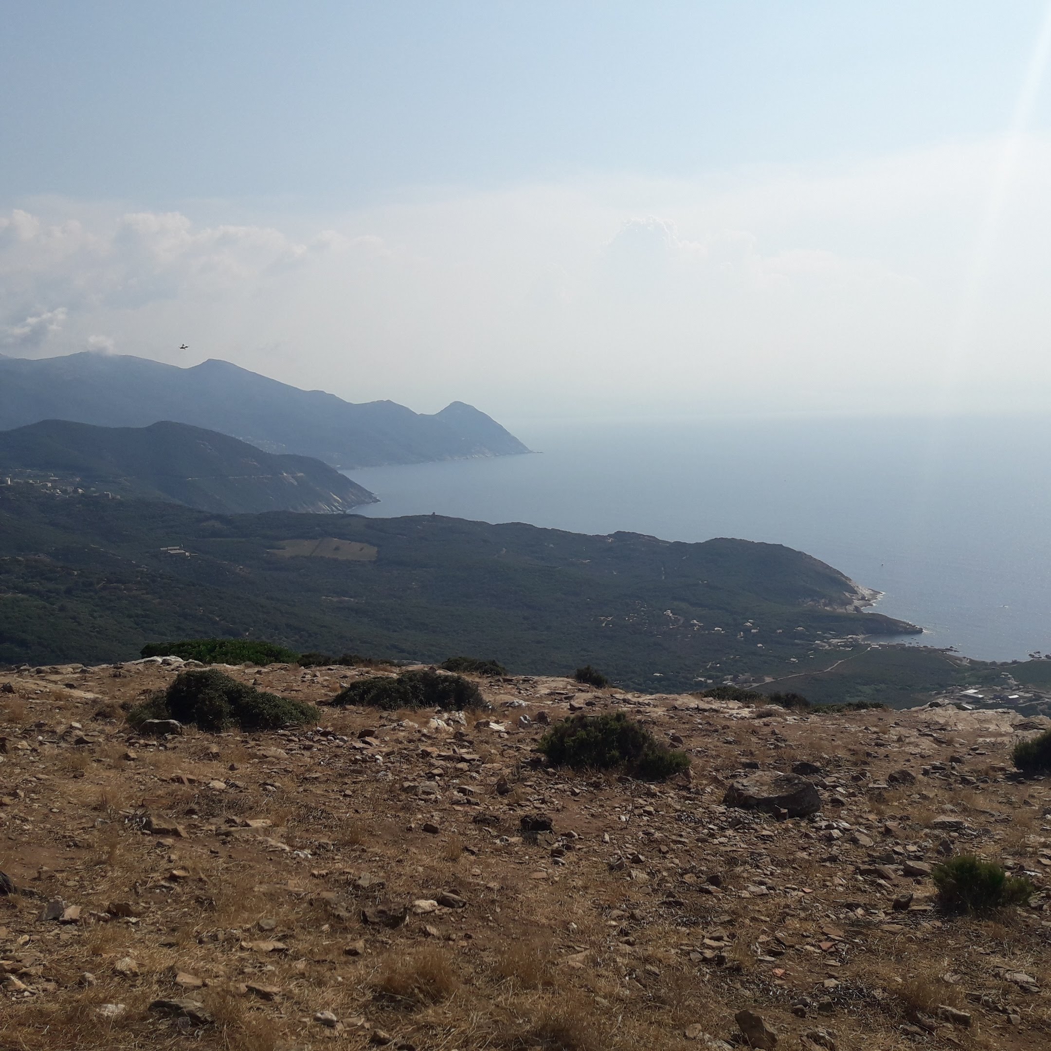Photo n° 2 de l'avis de Farfalla.n fait le 19/08/2018 à 17:37