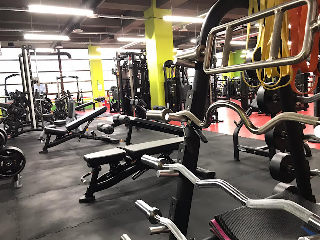 Green Gym - Fitness Club