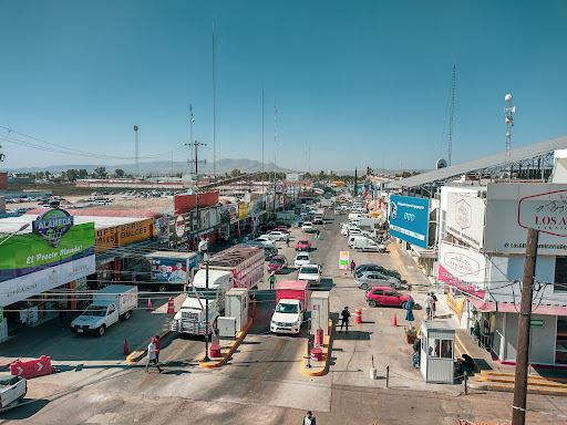 Mayorista de productos agrícolas Aguascalientes