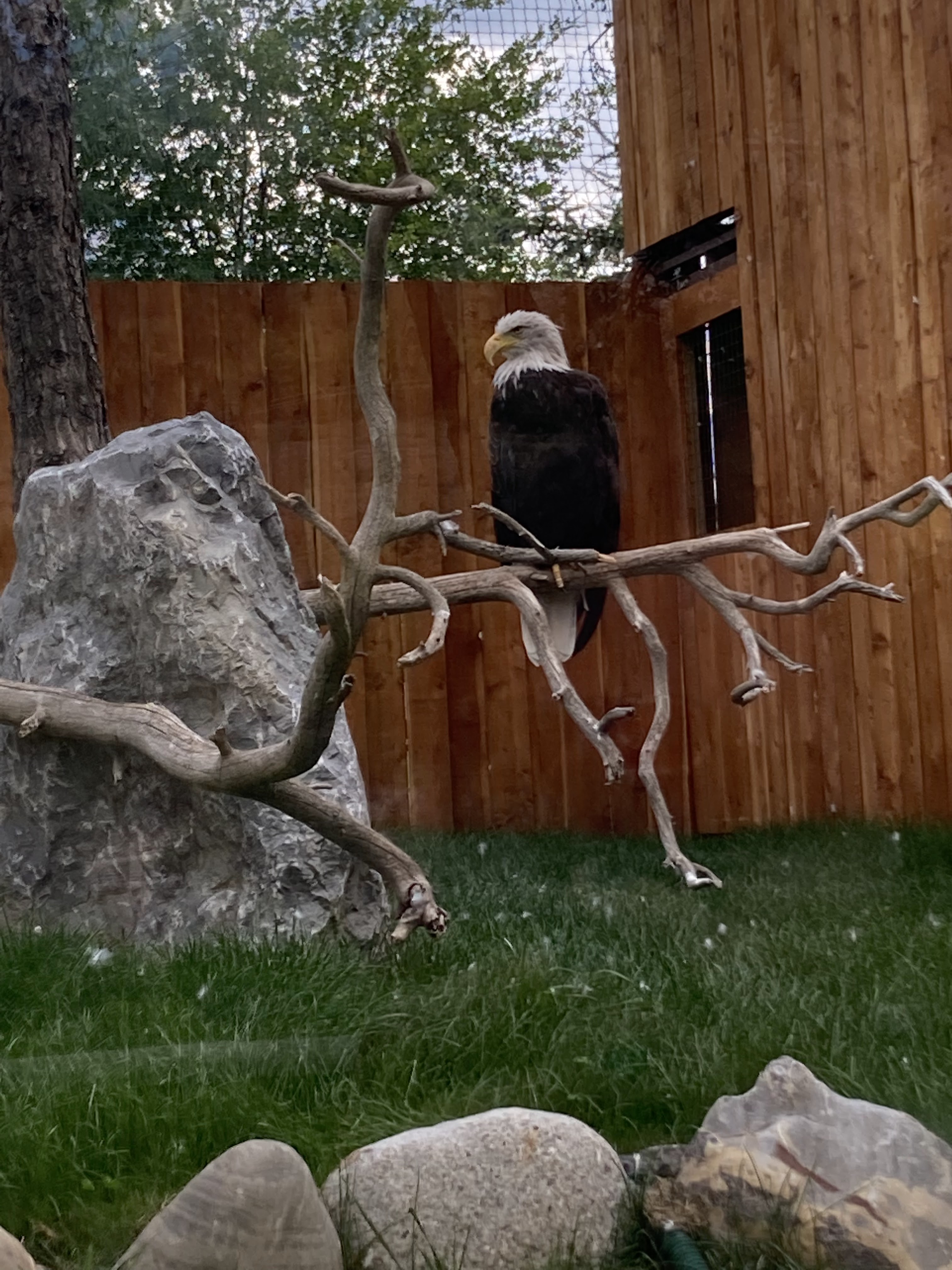 Photo n° 19 de l'avis de Laurianne.o fait le 26/08/2022 à 16:16