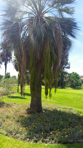 Golf Course «Hansen Dam Golf Course», reviews and photos, 10400 Glenoaks Blvd, Pacoima, CA 91331, USA