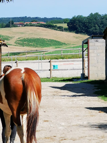 Centre Equestre de Gabaurias à Mauvezin-sur-Gupie