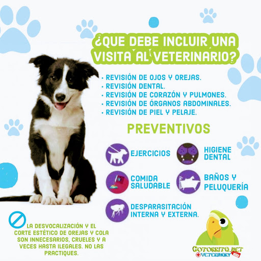 Cotorrita Veterinary & Pet Food