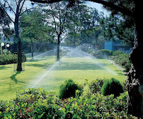 D & T Landscaping & Irrigation - Photo 8 - Car repair in Ham Lake, MN, Minneapolis