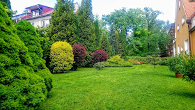 Sekání trávy Olomouc - údržba zahrad - prořez stromů ✂️🌿