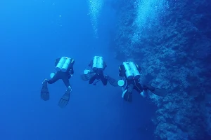 Poznańskie Centrum Działalności Nurkowej SCUBA4 image