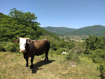 Lisciano Niccone Lisciano Niccone