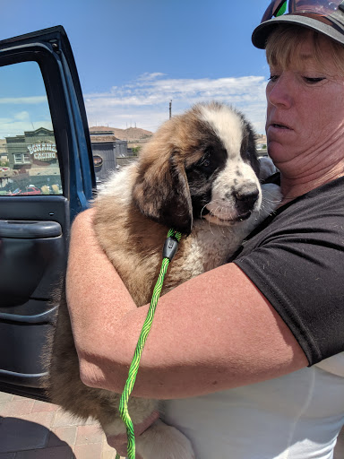 Casino «Bonanza Casino», reviews and photos, 4720 N Virginia St, Reno, NV 89506, USA