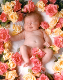 Brandi B. Photography - Photo 4 - Car repair in Highland Village, TX, Denton