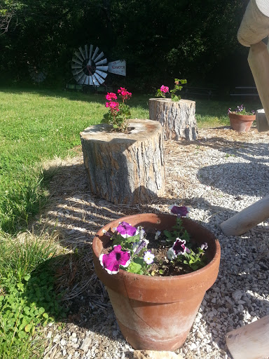 Winery «Persimmon Ridge Winery», reviews and photos, 7272 Sheppard Dr, Barnhart, MO 63012, USA