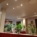 Photo n°4 de l'avis de Roy.� fait le 15/02/2020 à 07:03 sur le  SCHNIZZ Leipzig - Restaurant und Lieferservice à Leipzig