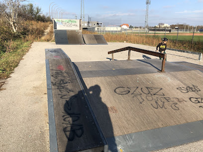 Skatepark Wr. Neustadt