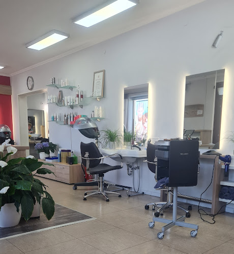 Salon Image