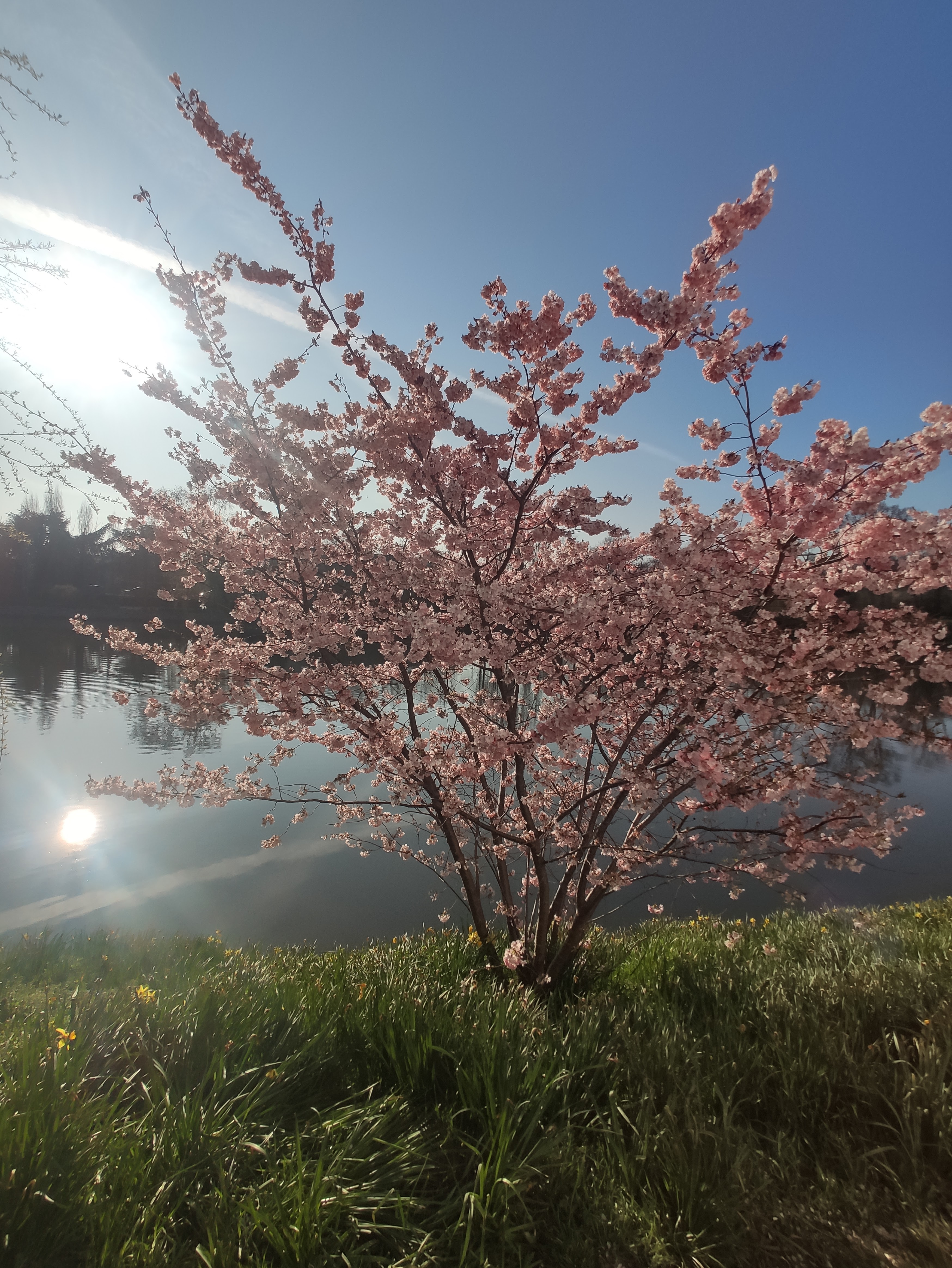 Photo n° 4 de l'avis de Marc.l fait le 21/04/2021 à 10:14