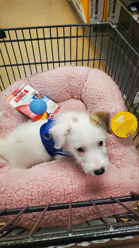 Pet Supply Store «Petco Animal Supplies», reviews and photos, 244 Pioneer Trail, Chaska, MN 55318, USA