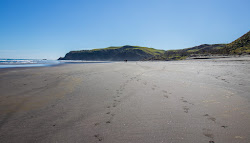 Ruapuke Beach'in fotoğrafı çok temiz temizlik seviyesi ile