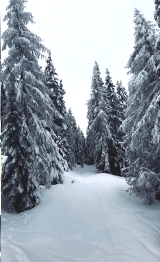Photo n° 3 de l'avis de Jean-Pierre.a fait le 10/02/2024 à 11:09