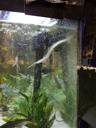 Pet Store «Hometowne Pet & Supply Inc», reviews and photos, 153 NY-94, Warwick, NY 10990, USA