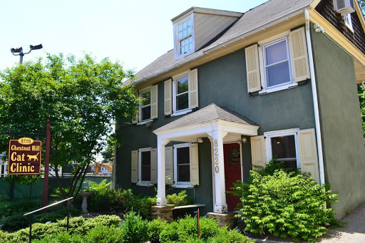 8220 Germantown Ave, Philadelphia, PA 19118, USA