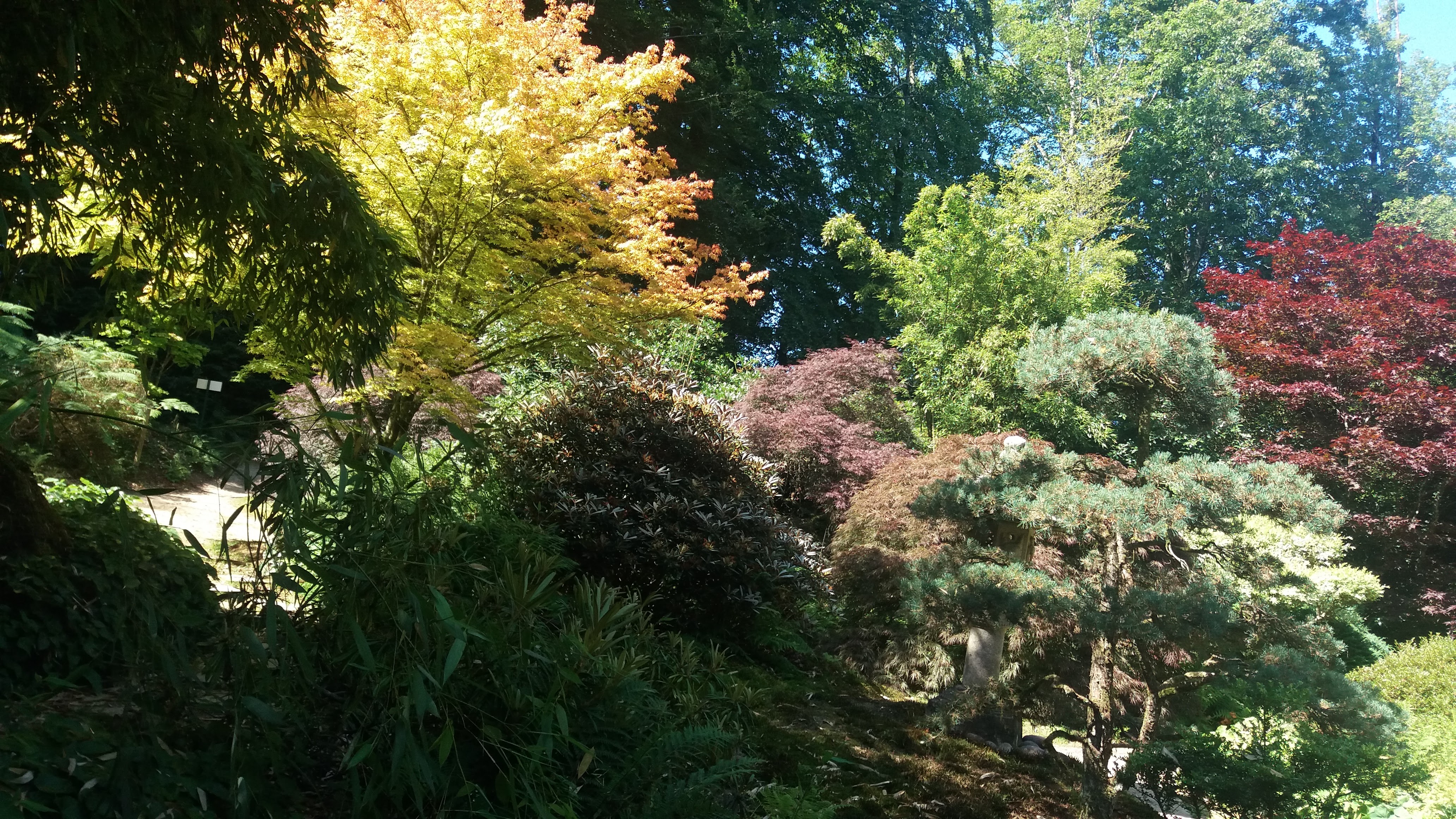 Photo n° 3 de l'avis de Michèle. fait le 13/07/2020 à 11:09