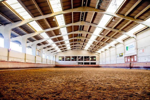 ECOLE D EQUITATION DU BOULONNAIS à La Capelle-lès-Boulogne, Pas-de-Calais