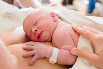 Mallory Torchio Photography - Photo 9 - Car repair in , Bend