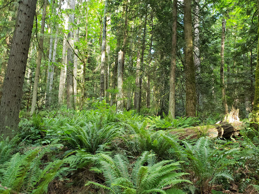 Nature Preserve «Redmond Watershed Preserve», reviews and photos, 21760 NE Novelty Hill Rd, Redmond, WA 98053, USA