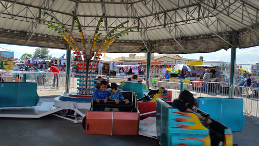 Flea Market «Mile High Flea Market», reviews and photos, 7007 E 88th Ave, Henderson, CO 80640, USA