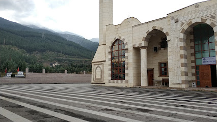 Payas Asri Mezarlığı ve Şehitlik Camii