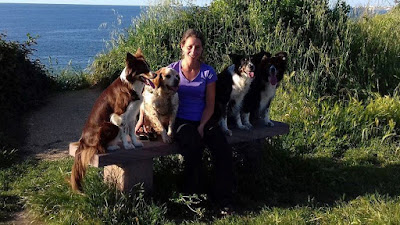 Animal Services 64 à Gan
