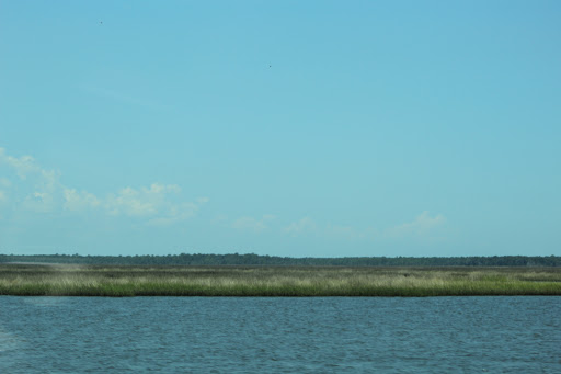 Nature Preserve «Tree Hill Nature Center», reviews and photos, 7152 Lone Star Rd, Jacksonville, FL 32211, USA