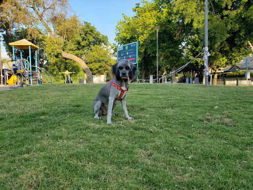 Samantha Pelecher Park