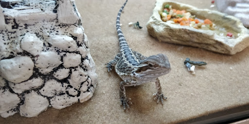 Pet Supply Store «PetSmart», reviews and photos, 2216 E Springs Dr, Madison, WI 53704, USA