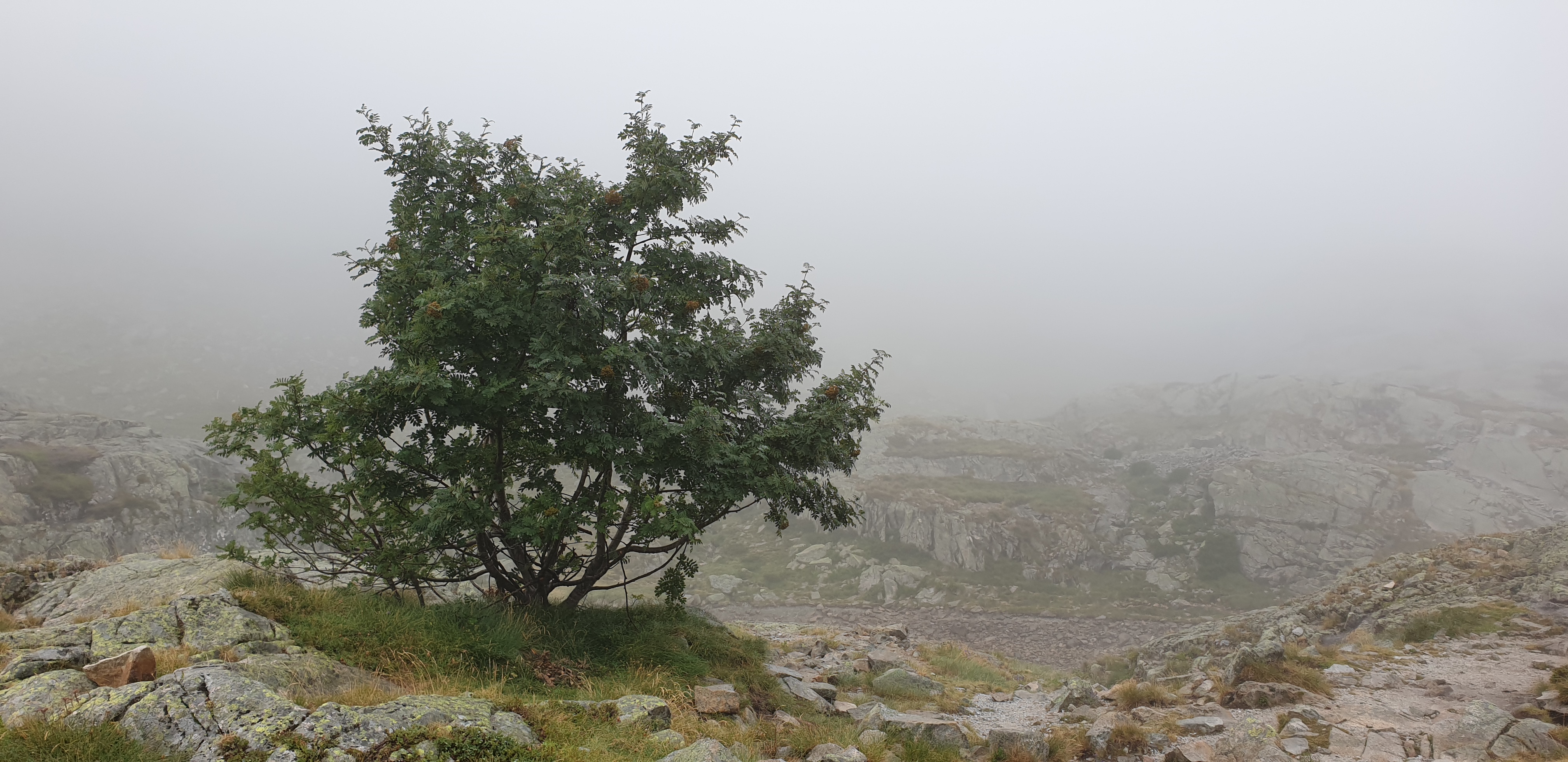 Photo n° 2 de l'avis de Jen. fait le 12/08/2019 à 21:47