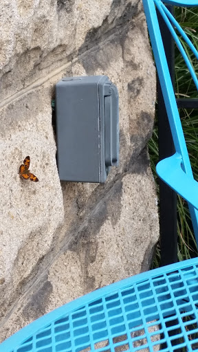 Bridal Shop «Urban Set Bride», reviews and photos, 602 N 29th St, Richmond, VA 23223, USA